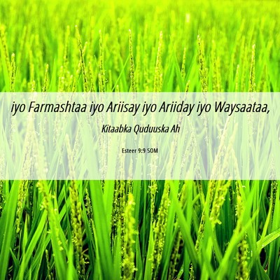 Picture 06 - Esteer 9:9 SOM - iyo Farmashtaa iyo Ariisay iyo Ariiday iyo - Bible Verse Picture