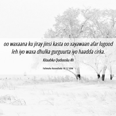Picture 06 - Falimaha Rasuullada 10:12 SOM - oo waxaana ku jiray jinsi kasta oo xayawaan afar - Bible Verse Picture