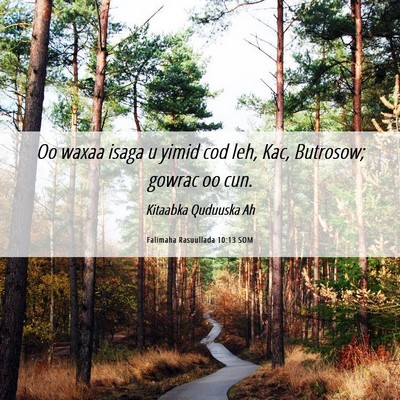 Picture 06 - Falimaha Rasuullada 10:13 SOM - Oo waxaa isaga u yimid cod leh, Kac, Butrosow; - Bible Verse Picture