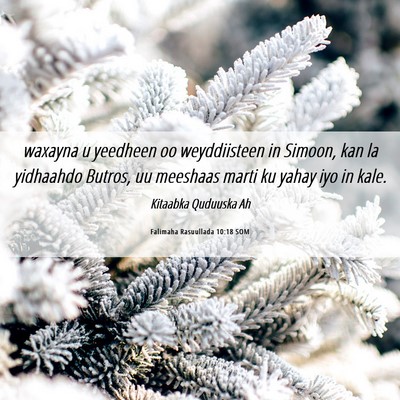Picture 06 - Falimaha Rasuullada 10:18 SOM - waxayna u yeedheen oo weyddiisteen in Simoon, kan - Bible Verse Picture