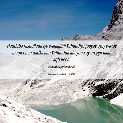 Picture 06 - Falimaha Rasuullada 11:1 SOM - Haddaba rasuulladii iyo walaalihii Yahuudiya - Bible Verse Picture