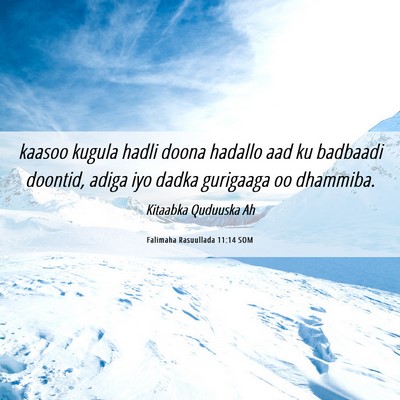 Picture 06 - Falimaha Rasuullada 11:14 SOM - kaasoo kugula hadli doona hadallo aad ku badbaadi - Bible Verse Picture