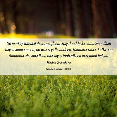 Picture 06 - Falimaha Rasuullada 11:18 SOM - Oo markay waxyaalahaas maqleen, ayay dooddii ka - Bible Verse Picture