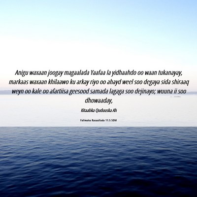 Picture 06 - Falimaha Rasuullada 11:5 SOM - Anigu waxaan joogay magaalada Yaafaa la yidhaahdo - Bible Verse Picture
