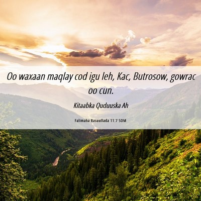 Picture 06 - Falimaha Rasuullada 11:7 SOM - Oo waxaan maqlay cod igu leh, Kac, Butrosow, - Bible Verse Picture