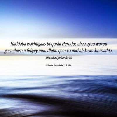 Picture 06 - Falimaha Rasuullada 12:1 SOM - Haddaba wakhtigaas boqorkii Herodos ahaa ayuu - Bible Verse Picture