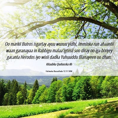 Picture 06 - Falimaha Rasuullada 12:11 SOM - Oo markii Butros isgartay ayuu wuxuu yidhi, - Bible Verse Picture