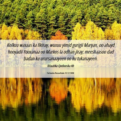 Picture 06 - Falimaha Rasuullada 12:12 SOM - Kolkuu waxaas ka fikiray, wuxuu yimid gurigii - Bible Verse Picture