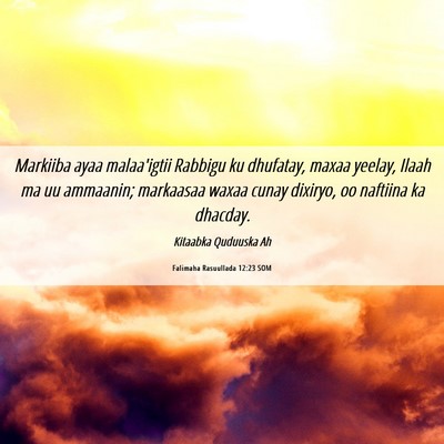 Picture 06 - Falimaha Rasuullada 12:23 SOM - Markiiba ayaa malaa'igtii Rabbigu ku dhufatay, - Bible Verse Picture