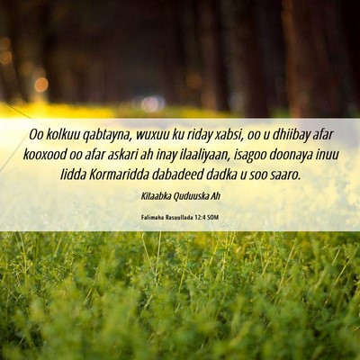 Picture 06 - Falimaha Rasuullada 12:4 SOM - Oo kolkuu qabtayna, wuxuu ku riday xabsi, oo u - Bible Verse Picture