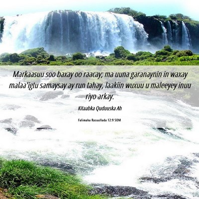 Picture 06 - Falimaha Rasuullada 12:9 SOM - Markaasuu soo baxay oo raacay; ma uuna garanaynin - Bible Verse Picture