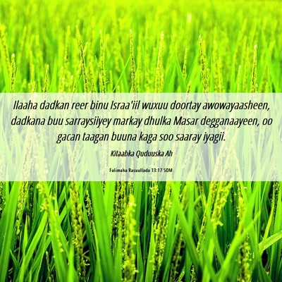 Picture 06 - Falimaha Rasuullada 13:17 SOM - Ilaaha dadkan reer binu Israa'iil wuxuu doortay - Bible Verse Picture