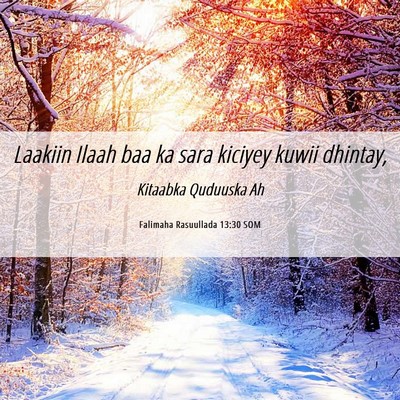 Picture 06 - Falimaha Rasuullada 13:30 SOM - Laakiin Ilaah baa ka sara kiciyey kuwii - Bible Verse Picture