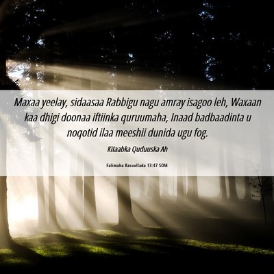 Picture 06 - Falimaha Rasuullada 13:47 SOM - Maxaa yeelay, sidaasaa Rabbigu nagu amray isagoo - Bible Verse Picture