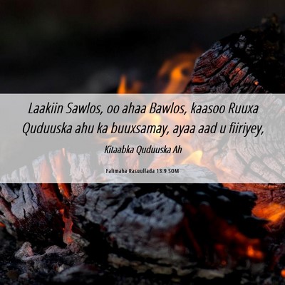 Picture 06 - Falimaha Rasuullada 13:9 SOM - Laakiin Sawlos, oo ahaa Bawlos, kaasoo Ruuxa - Bible Verse Picture