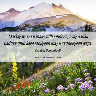 Picture 06 - Falimaha Rasuullada 14:18 SOM - Markay waxyaalahaas yidhaahdeen, ayay dadkii - Bible Verse Picture