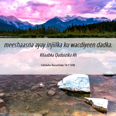 Picture 06 - Falimaha Rasuullada 14:7 SOM - meeshaasna ayay injiilka ku wacdiyeen - Bible Verse Picture