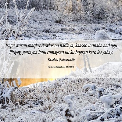 Picture 06 - Falimaha Rasuullada 14:9 SOM - Isagu wuxuu maqlay Bawlos oo hadlaya, kaasoo - Bible Verse Picture