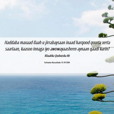 Picture 06 - Falimaha Rasuullada 15:10 SOM - Haddaba maxaad Ilaah u jirrabaysaan inaad harqood - Bible Verse Picture