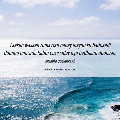 Picture 06 - Falimaha Rasuullada 15:11 SOM - Laakiin waxaan rumaysan nahay inaynu ku badbaadi - Bible Verse Picture