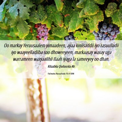 Picture 06 - Falimaha Rasuullada 15:4 SOM - Oo markay Yeruusaalem yimaadeen, ayaa kiniisaddii - Bible Verse Picture