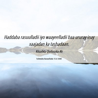 Picture 06 - Falimaha Rasuullada 15:6 SOM - Haddaba rasuulladii iyo waayeelladii baa ururay - Bible Verse Picture