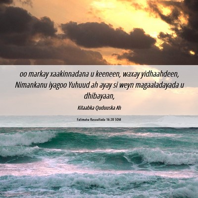 Picture 06 - Falimaha Rasuullada 16:20 SOM - oo markay xaakinnadana u keeneen, waxay - Bible Verse Picture