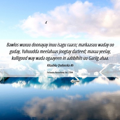 Picture 06 - Falimaha Rasuullada 16:3 SOM - Bawlos wuxuu doonayay inuu isagu raaco; markaasuu - Bible Verse Picture