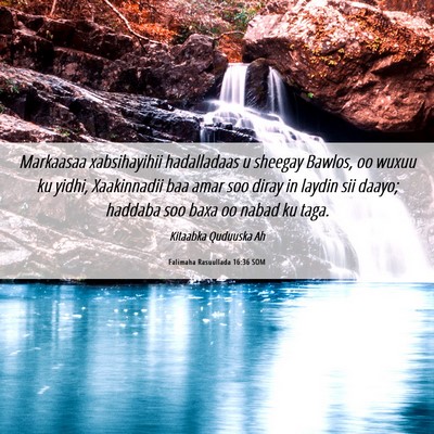 Picture 06 - Falimaha Rasuullada 16:36 SOM - Markaasaa xabsihayihii hadalladaas u sheegay - Bible Verse Picture