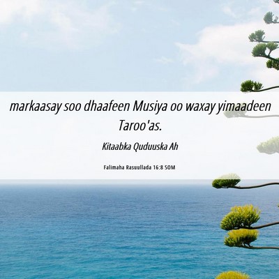 Picture 06 - Falimaha Rasuullada 16:8 SOM - markaasay soo dhaafeen Musiya oo waxay yimaadeen - Bible Verse Picture