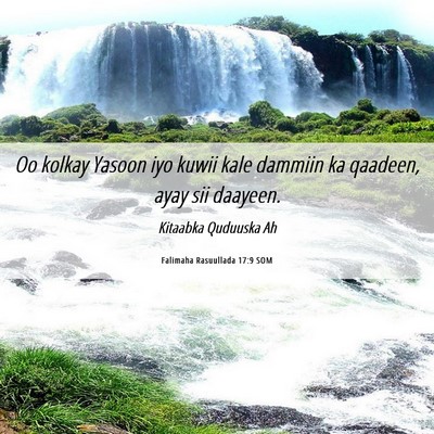 Picture 06 - Falimaha Rasuullada 17:9 SOM - Oo kolkay Yasoon iyo kuwii kale dammiin ka - Bible Verse Picture