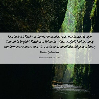 Picture 06 - Falimaha Rasuullada 18:14 SOM - Laakiin kolkii Bawlos u dhowaa inuu afkiisa kala - Bible Verse Picture
