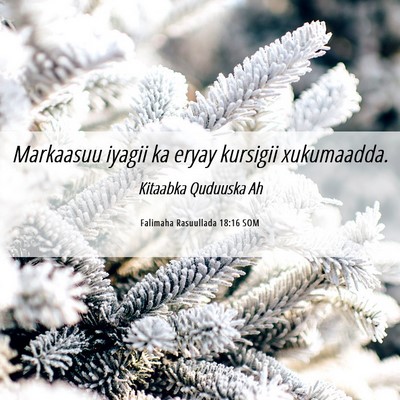 Picture 06 - Falimaha Rasuullada 18:16 SOM - Markaasuu iyagii ka eryay kursigii - Bible Verse Picture