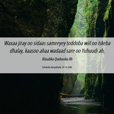 Picture 06 - Falimaha Rasuullada 19:14 SOM - Waxaa jiray oo sidaas sameeyey toddoba wiil oo - Bible Verse Picture