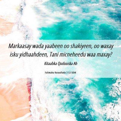 Picture 06 - Falimaha Rasuullada 2:12 SOM - Markaasay wada yaabeen oo shakiyeen, oo waxay - Bible Verse Picture