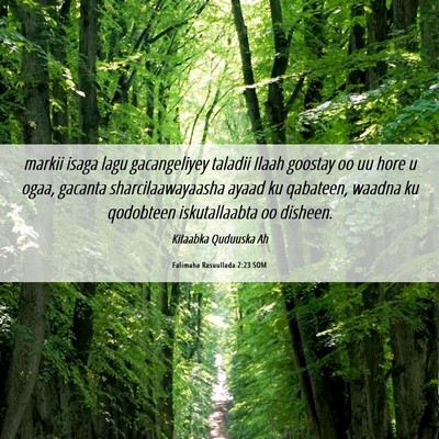 Picture 06 - Falimaha Rasuullada 2:23 SOM - markii isaga lagu gacangeliyey taladii Ilaah - Bible Verse Picture