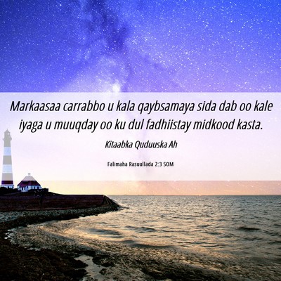 Picture 06 - Falimaha Rasuullada 2:3 SOM - Markaasaa carrabbo u kala qaybsamaya sida dab oo - Bible Verse Picture