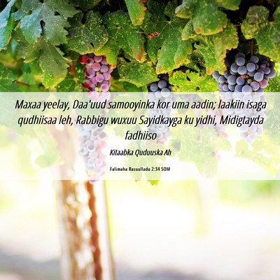 Picture 06 - Falimaha Rasuullada 2:34 SOM - Maxaa yeelay, Daa'uud samooyinka kor uma aadin; - Bible Verse Picture