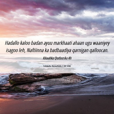Picture 06 - Falimaha Rasuullada 2:40 SOM - Hadallo kaloo badan ayuu markhaati ahaan ugu - Bible Verse Picture