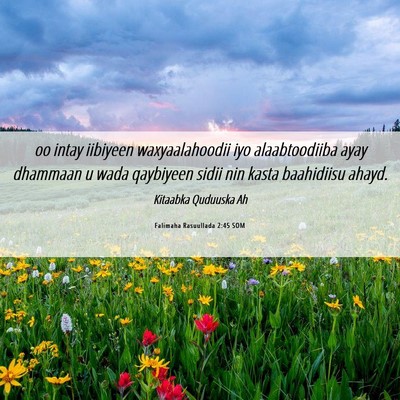 Picture 06 - Falimaha Rasuullada 2:45 SOM - oo intay iibiyeen waxyaalahoodii iyo - Bible Verse Picture