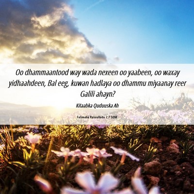 Picture 06 - Falimaha Rasuullada 2:7 SOM - Oo dhammaantood way wada nexeen oo yaabeen, oo - Bible Verse Picture
