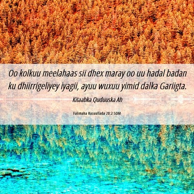 Picture 06 - Falimaha Rasuullada 20:2 SOM - Oo kolkuu meelahaas sii dhex maray oo uu hadal - Bible Verse Picture