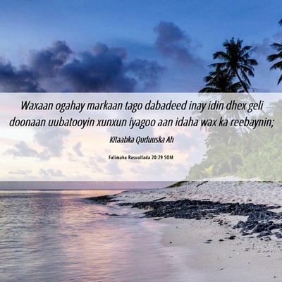 Picture 06 - Falimaha Rasuullada 20:29 SOM - Waxaan ogahay markaan tago dabadeed inay idin - Bible Verse Picture