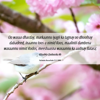 Picture 06 - Falimaha Rasuullada 21:1 SOM - Oo waxaa dhacday, markaannu iyagii ka tagnay oo - Bible Verse Picture