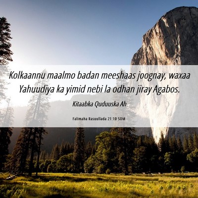 Picture 06 - Falimaha Rasuullada 21:10 SOM - Kolkaannu maalmo badan meeshaas joognay, waxaa - Bible Verse Picture