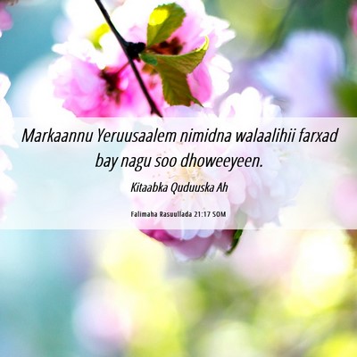 Picture 06 - Falimaha Rasuullada 21:17 SOM - Markaannu Yeruusaalem nimidna walaalihii farxad - Bible Verse Picture