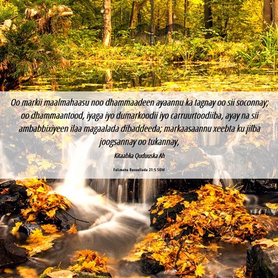 Picture 06 - Falimaha Rasuullada 21:5 SOM - Oo markii maalmahaasu noo dhammaadeen ayaannu ka - Bible Verse Picture