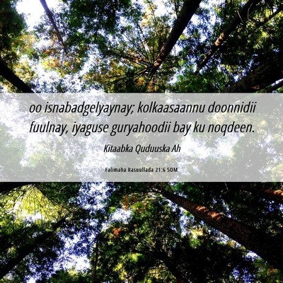 Picture 06 - Falimaha Rasuullada 21:6 SOM - oo isnabadgelyaynay; kolkaasaannu doonnidii - Bible Verse Picture