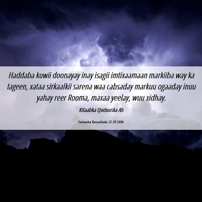 Picture 06 - Falimaha Rasuullada 22:29 SOM - Haddaba kuwii doonayay inay isagii imtixaamaan - Bible Verse Picture