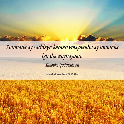 Picture 06 - Falimaha Rasuullada 24:13 SOM - Kuumana ay caddayn karaan waxyaalihii ay imminka - Bible Verse Picture